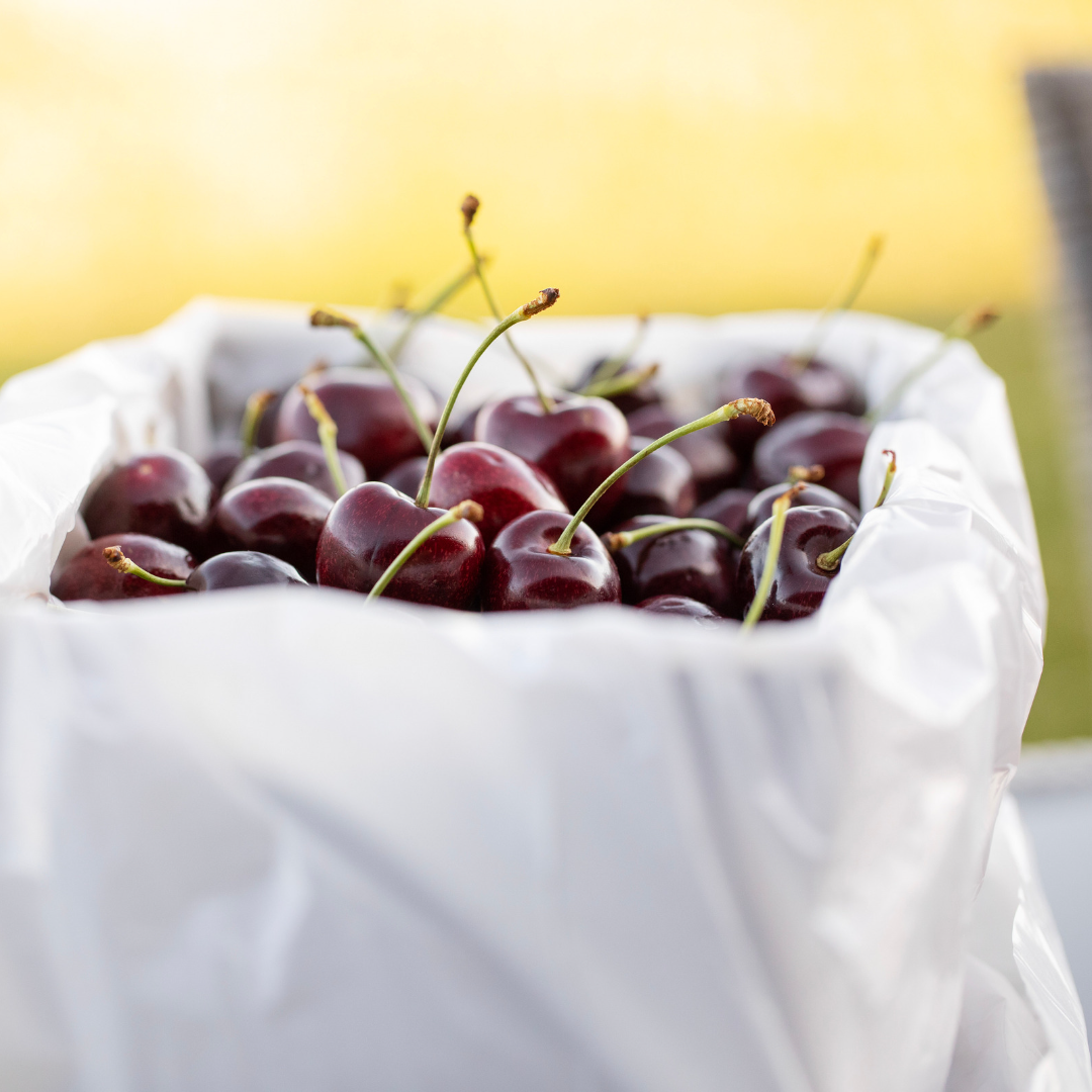 premium New Zealand cherries, cherry box, cherries for Christmas, christmas cherries, christmas cherries nz, 2kg cherry box, cherries red, otago cherries, pure otago cherries, red cherries, cherries wholesale, wholesale cherries