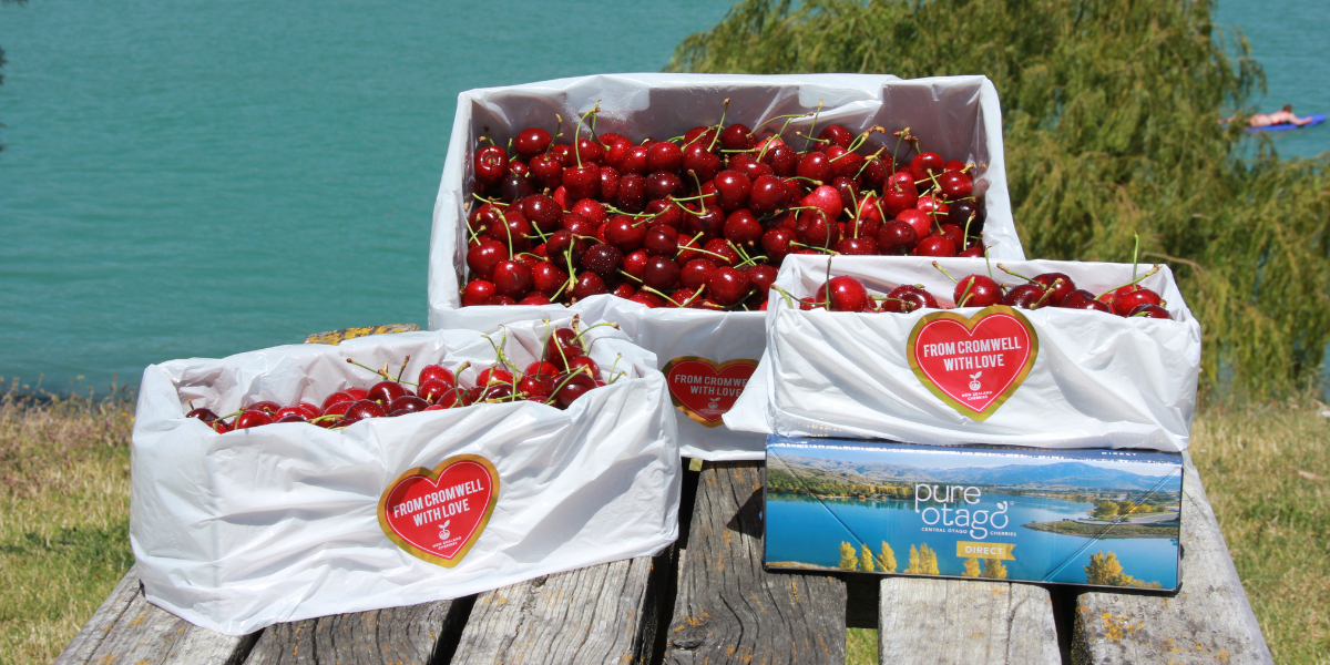 How to Send NZ Cherries as a Corporate Gift (with Multiple Addresses)