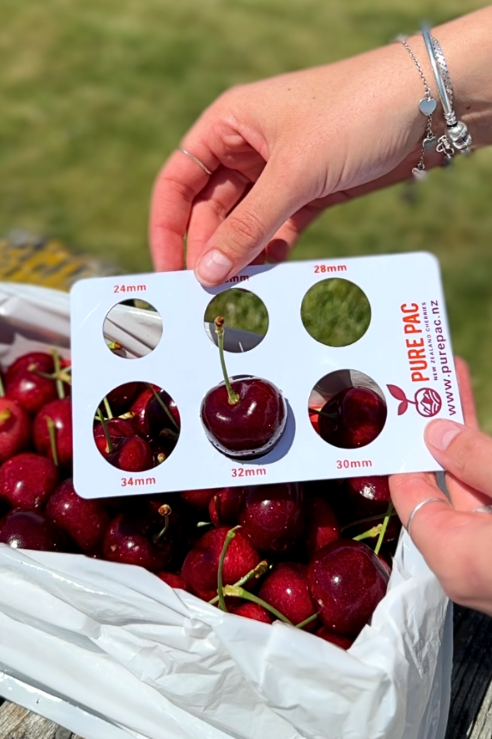 1kg 32mm red Pure Otago Direct cherries being unboxed