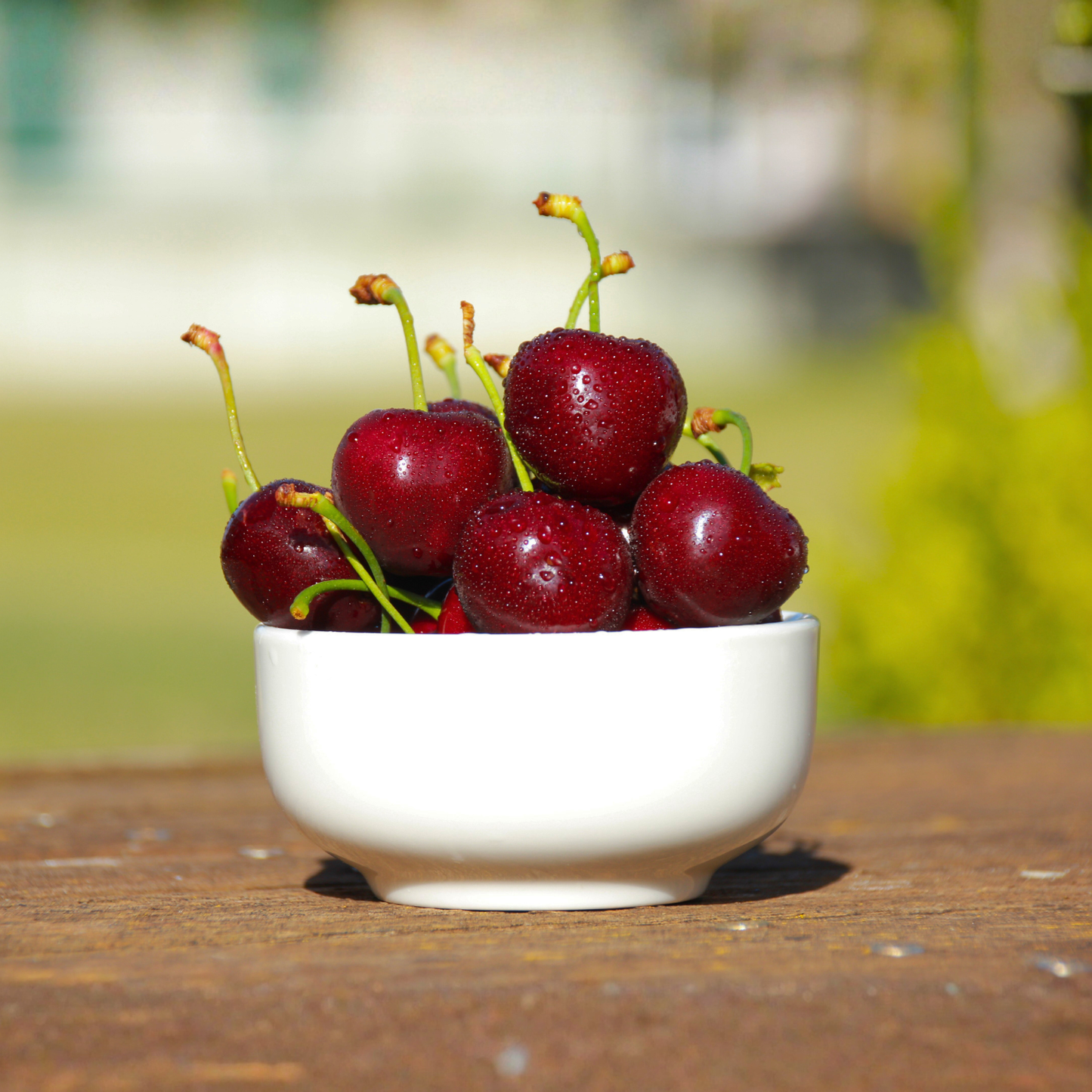 White bowl filled with cherries on a wooden surface with a blurred natural background, fresh central otago cherries grown in cromwell orchard, 5kg mixed size cherries
