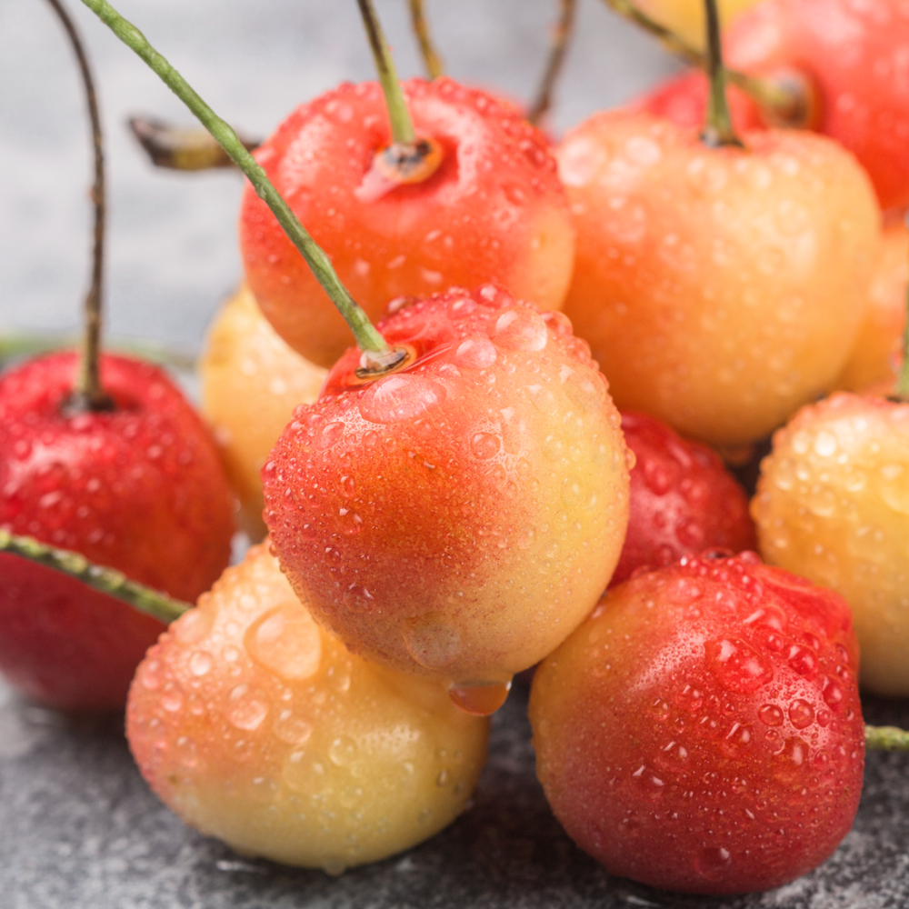 
                      
                        rainier white cherry nz, cherries white, rainier cherries
                      
                    